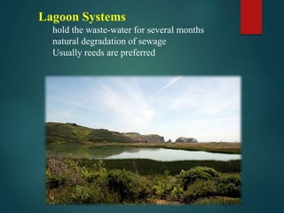 Lagoon Systems
hold the waste-water for several months
natural degradation of sewage
Usually reeds are preferred
 