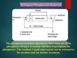 Biological Phosphorous Removal
The phosphorus enriched supernatant that comes out of the
phosphorus Stripper is treated with lime to precipitate the
phosphorus .The resultant Liquid supernatant can be returned to
the aeration tank for further treatment.
 