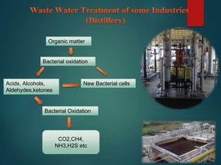 Organic matter
Bacterial oxidation
Acids, Alcohols,
Aldehydes,ketones
New Bacterial cells
Bacterial Oxidation
CO2,CH4,
NH3,H2S etc
 
