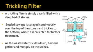  A trickling filter is simply a tank filled with a
deep bed of stones.
 Settled sewage is sprayed continuously
over the top of the stones and trickles to
the bottom, where it is collected for further
treatment.
 As the wastewater trickles down, bacteria
gather and multiply on the stones.
 