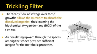  The steady flow of sewage over these
growths allows the microbes to absorb the
dissolved organics, thus lowering the
biochemical oxygen demand (BOD) of the
sewage.
 Air circulating upward through the spaces
among the stones provides sufficient
oxygen for the metabolic processes.
 