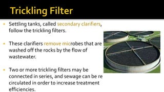  Settling tanks, called secondary clarifiers,
follow the trickling filters.
 These clarifiers remove microbes that are
washed off the rocks by the flow of
wastewater.
 Two or more trickling filters may be
connected in series, and sewage can be re
circulated in order to increase treatment
efficiencies.
 