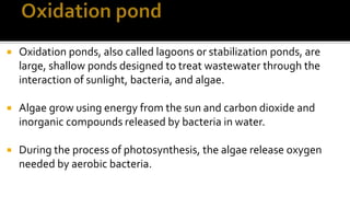  Oxidation ponds, also called lagoons or stabilization ponds, are
large, shallow ponds designed to treat wastewater through the
interaction of sunlight, bacteria, and algae.
 Algae grow using energy from the sun and carbon dioxide and
inorganic compounds released by bacteria in water.
 During the process of photosynthesis, the algae release oxygen
needed by aerobic bacteria.
 