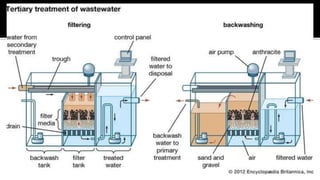 Waste water treatment.pptx