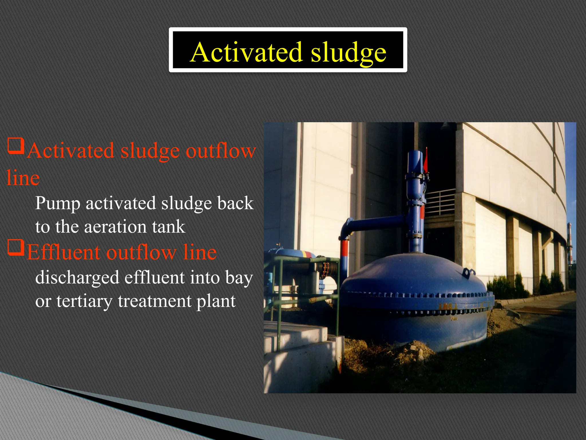 Activated sludge outflow
line
Pump activated sludge back
to the aeration tank
Effluent outflow line
discharged effluent into bay
or tertiary treatment plant
Activated sludge
 