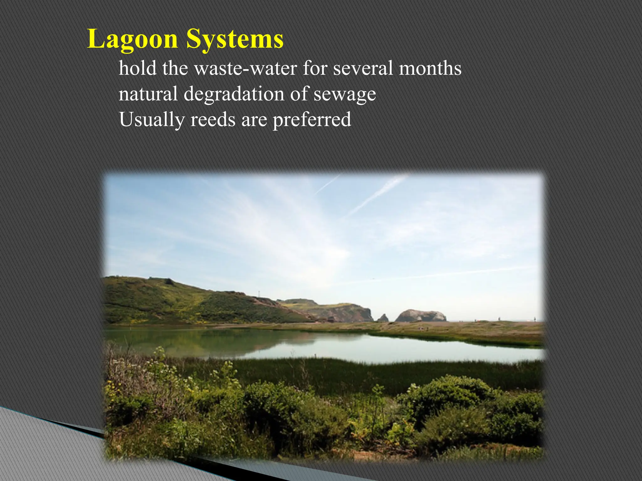 Lagoon Systems
hold the waste-water for several months
natural degradation of sewage
Usually reeds are preferred
 