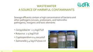 WASTEWATER
A SOURCE OF HARMFUL CONTAMINANTS
Sewage effluents contain a high concentration of bacteria and
other pathogens ...