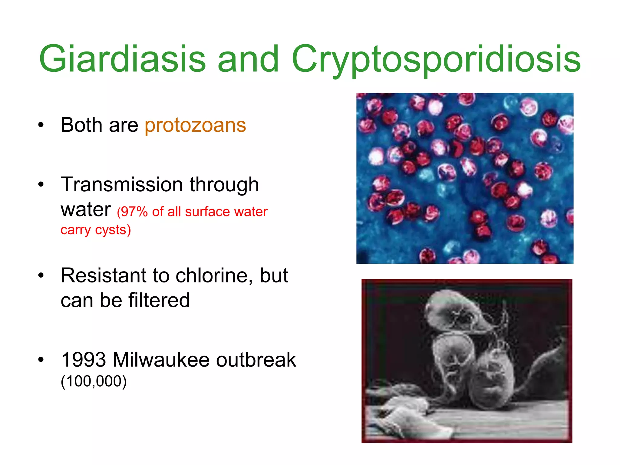 Giardiasis and Cryptosporidiosis
• Both are protozoans
• Transmission through
water (97% of all surface water
carry cysts)
• Resistant to chlorine, but
can be filtered
• 1993 Milwaukee outbreak
(100,000)
 