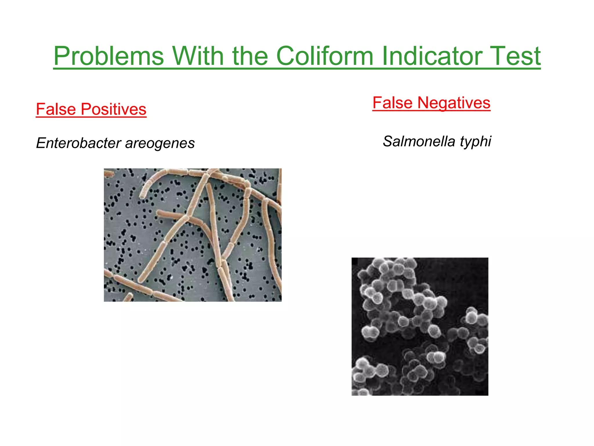 Problems With the Coliform Indicator Test
False Positives
Enterobacter areogenes
False Negatives
Salmonella typhi
 