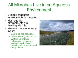 All Microbes Live in an Aqueous
Environment
• Ecology of aquatic
environments is complex
• Most aquatic
environments are
teaming with life
• Microbes have evolved to
live in:
– Saturated salt solutions
– Below freezing to >110°C
– Waters full of toxic
substance , i.e. copper,
cyanide, lead, silver,
gasoline, oil, benzene, and
many others
 
