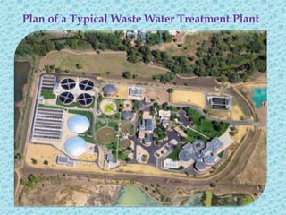 Plan of a Typical Waste Water Treatment Plant
 
