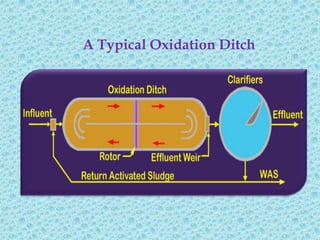 A Typical Oxidation Ditch
 