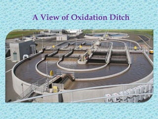 A View of Oxidation Ditch
 