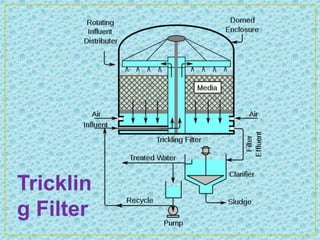 Tricklin
g Filter
 