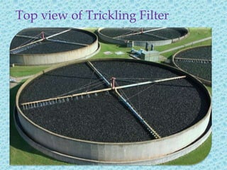 Top view of Trickling Filter
 