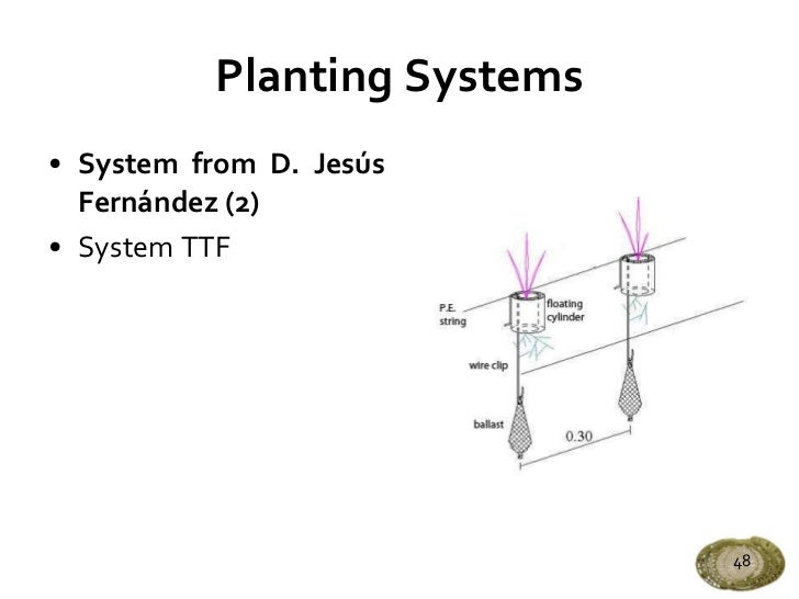 constructed wetlands for wastewater treatment pdf