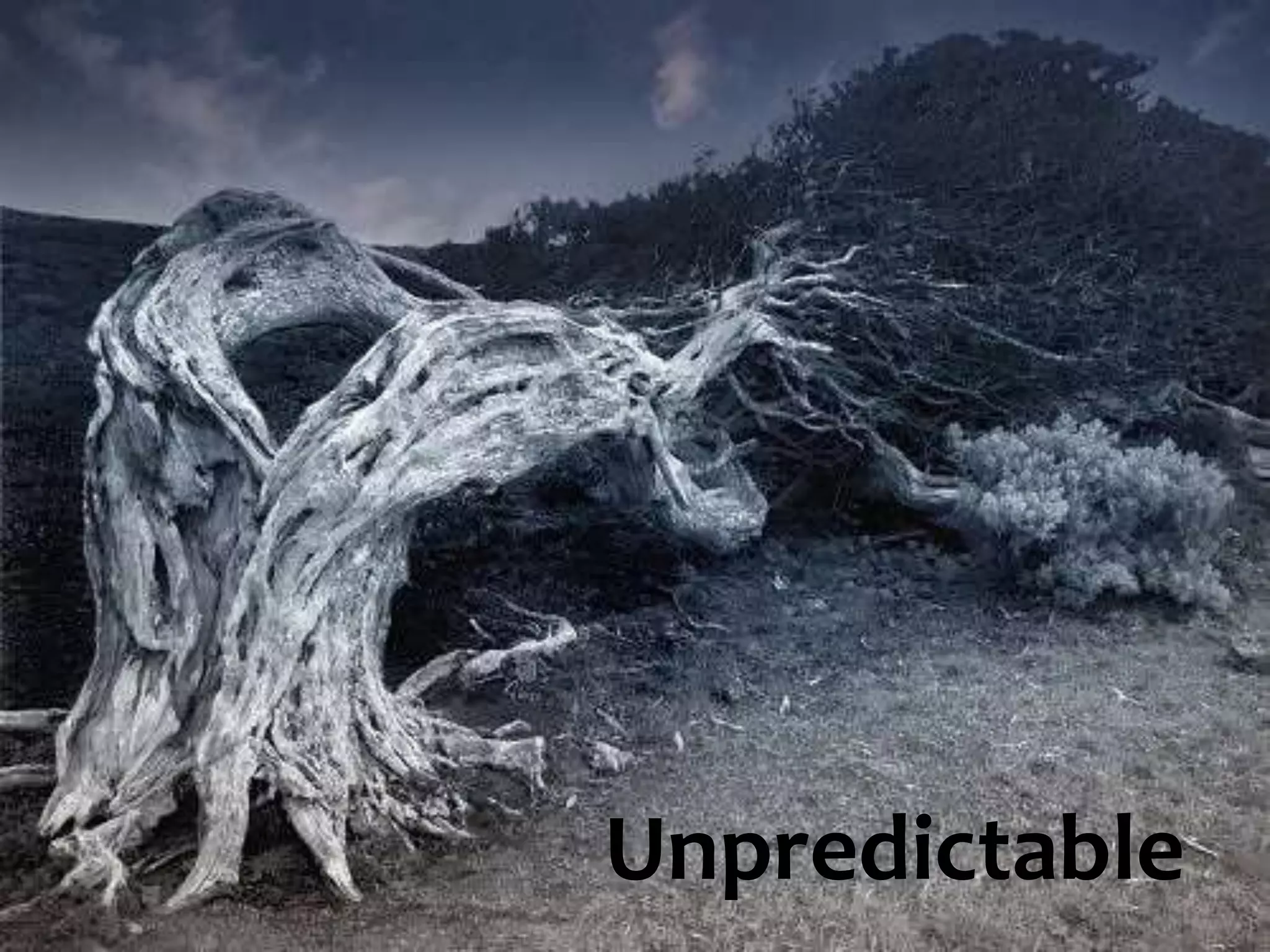 Forget the Magic Lever & lessons from social media