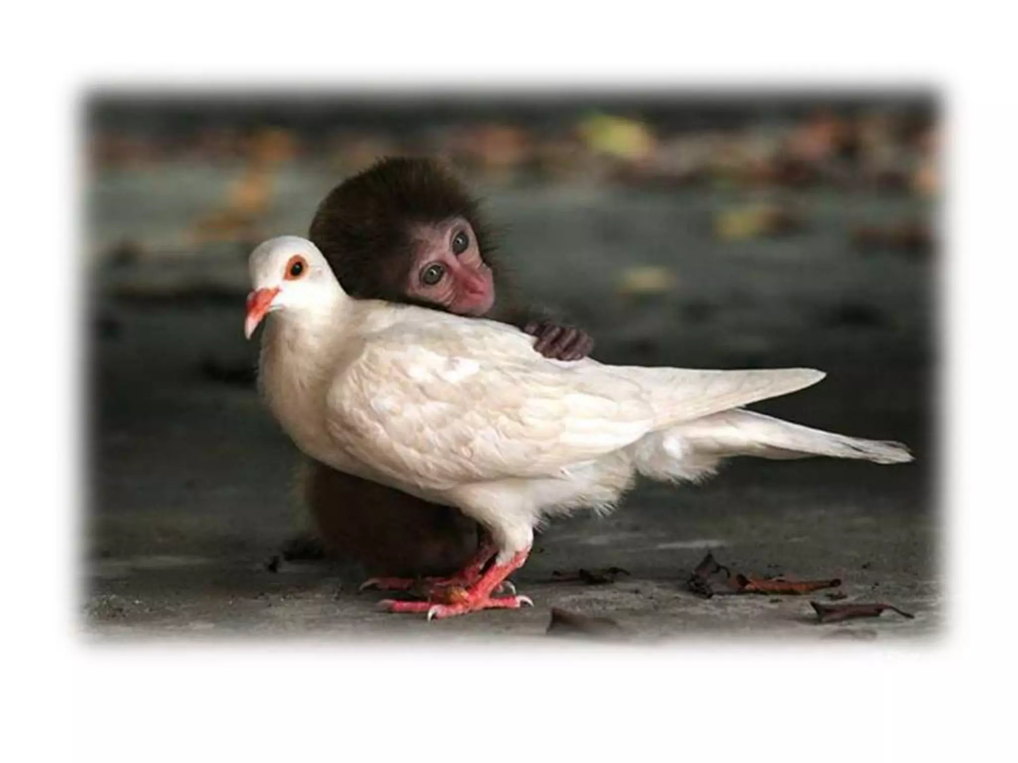 Forget the Magic Lever & lessons from social media