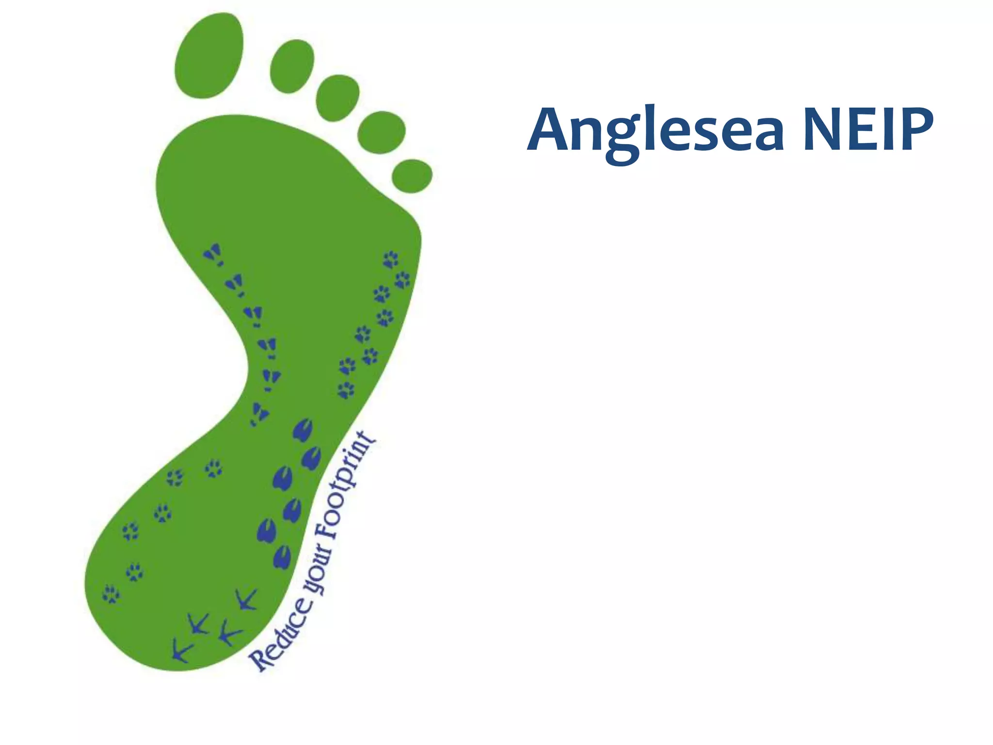 Forget the Magic Lever & lessons from social media