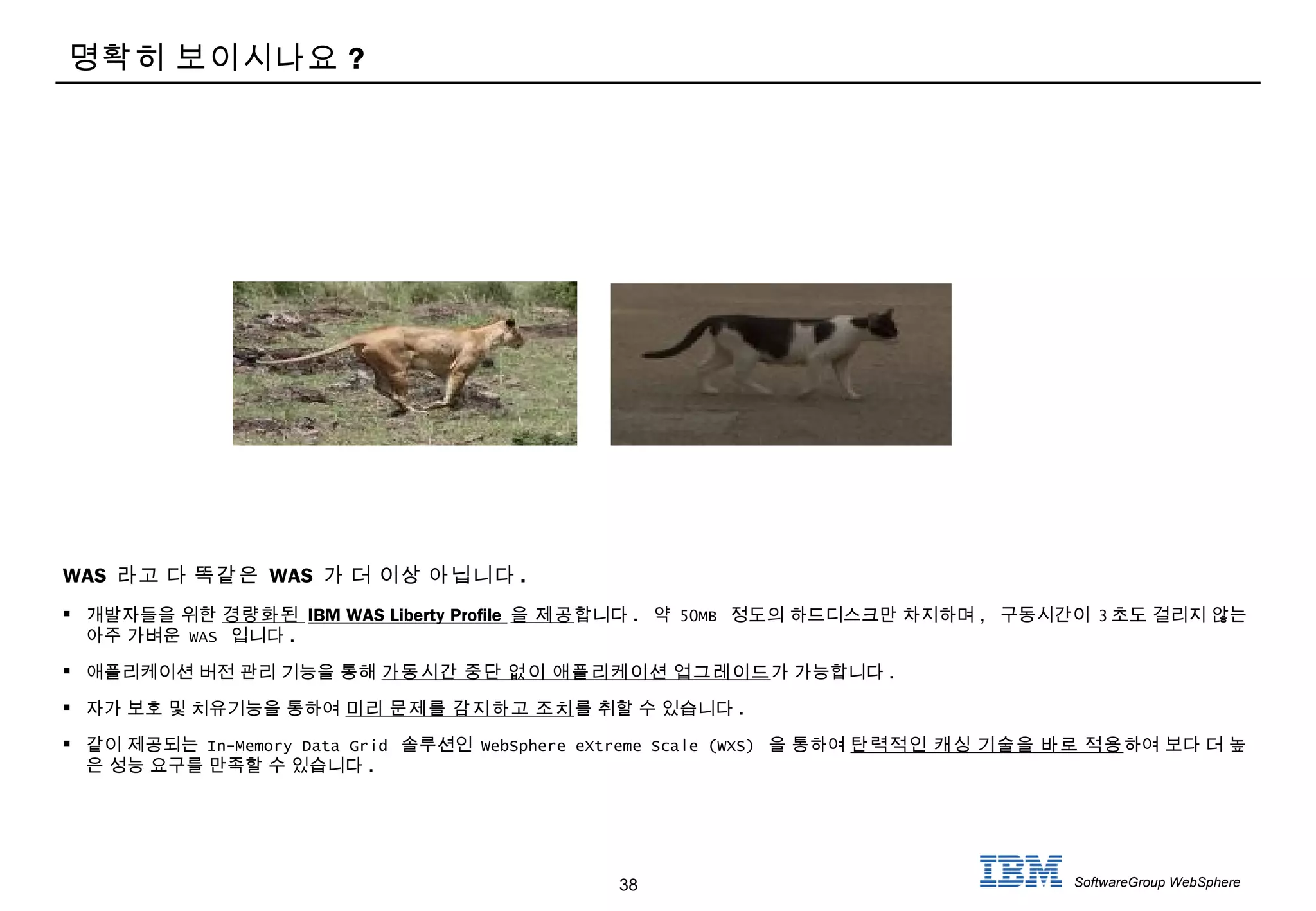 38 SoftwareGroup WebSphere
명확히 보이시나요 ?
WAS 라고 다 똑같은 WAS 가 더 이상 아닙니다 .
 개발자들을 위한 경량화된 IBM WAS Liberty Profile 을 제공합니다 . 약 50MB 정도의 하드디스크만 차지하며 , 구동시간이 3 초도 걸리지 않는
아주 가벼운 WAS 입니다 .
 애플리케이션 버전 관리 기능을 통해 가동시간 중단 없이 애플리케이션 업그레이드가 가능합니다 .
 자가 보호 및 치유기능을 통하여 미리 문제를 감지하고 조치를 취할 수 있습니다 .
 같이 제공되는 In-Memory Data Grid 솔루션인 WebSphere eXtreme Scale (WXS) 을 통하여 탄력적인 캐싱 기술을 바로 적용하여 보다 더 높
은 성능 요구를 만족할 수 있습니다 .
 