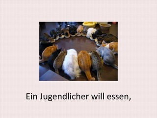Ein Jugendlicher will essen,
 