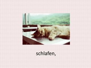 schlafen,
 