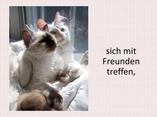 sich mit
Freunden
 treffen,
 