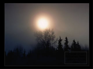 Erkenne - in der Stunde des Todes zählt nur noch die Liebe 