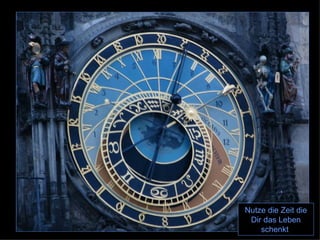 Nutze die Zeit die Dir das Leben schenkt  