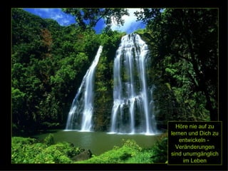 Höre nie auf zu lernen und Dich zu entwickeln -  Veränderungen sind unumgänglich im Leben 