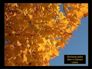 Geniesse jedes Alter in Deinem Leben 