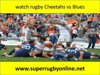 watch rugby Cheetahs vs Blues
www.superrugbyonline.net
 