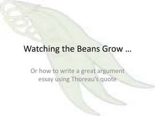Watching the Beans Grow …

 Or how to write a great argument
    essay using Thoreau’s quote
 