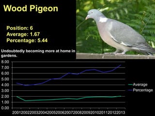 0.00
1.00
2.00
3.00
4.00
5.00
6.00
7.00
8.00
2001200220032004200520062007200820092010201120122013
Average
Percentage
Wood Pigeon
Position: 6
Average: 1.67
Percentage: 5.44
Undoubtedly becoming more at home in
gardens.
 