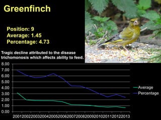 0.00
1.00
2.00
3.00
4.00
5.00
6.00
7.00
8.00
2001200220032004200520062007200820092010201120122013
Average
Percentage
Greenfinch
Position: 9
Average: 1.45
Percentage: 4.73
Tragic decline attributed to the disease
trichomonosis which affects ability to feed.
 