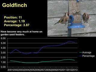 0.00
1.00
2.00
3.00
4.00
5.00
6.00
2001200220032004200520062007200820092010201120122013
Average
Percentage
Goldfinch
Position: 11
Average: 1.19
Percentage: 3.87
Have become very much at home on
garden seed feeders.
 