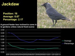 0.00
0.50
1.00
1.50
2.00
2.50
3.00
3.50
2001200220032004200520062007200820092010201120122013
Average
Percentage
Jackdaw
Position: 16
Average: 0.67
Percentage: 2.17
A ground feeder less inclined to come in
to gardens unless natural food scarce
 