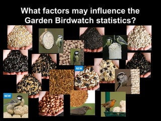 What factors may influence the
Garden Birdwatch statistics?
 