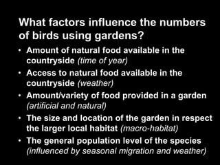 What factors influence the numbers
of birds using gardens?
• Amount of natural food available in the
countryside (time of year)
• Access to natural food available in the
countryside (weather)
• Amount/variety of food provided in a garden
(artificial and natural)
• The size and location of the garden in respect
the larger local habitat (macro-habitat)
• The general population level of the species
(influenced by seasonal migration and weather)
 