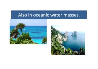 Also in oceanic water massesAlso in oceanic water masses.
 