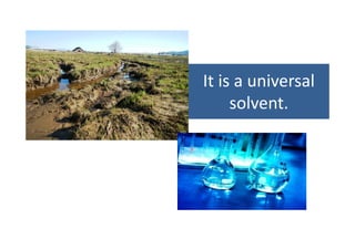It is a universalIt is a universal 
solvent.
 