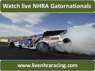 Watch live NHRA Gatornationals
www.livenhraracing.com
 