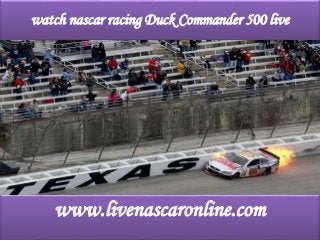 watch nascar racing Duck Commander 500 live
www.livenascaronline.com
 