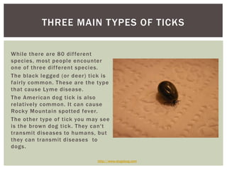 THREE MAIN T YPES OF TICKS

While there are 80 dif ferent
species, most people encounter
one of three dif ferent species.
The black legged (or deer) tick is
fairly common. These are the type
that cause Lyme disease.
The American dog tick is also
relatively common. It can cause
Rocky Mountain spotted fever.
The other type of tick you may see
is the brown dog tick . They can't
transmit diseases to humans, but
they can transmit diseases to
dogs.

                             http://www.slugabug.com
 