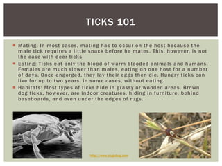 TICKS 101

 Mating: In most cases, mating has to occur on the host because the
  male tick requires a little snack before he mates. This, however, is not
  the case with deer ticks.
 Eating: Ticks eat only the blood of warm blooded animals and humans.
  Females are much slower than males, eating on one host for a number
  of days. Once engorged, they lay their eggs then die. Hungr y ticks can
  live for up to two year s, in some cases, without eating.
 Habitats: Most types of ticks hide in grassy or wooded areas. Brown
  dog ticks, however, are indoor creatures, hiding in furniture, behind
  baseboards, and even under the edges of rugs.




                             http://www.slugabug.com
 