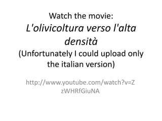 Watch the movie:
  L'olivicoltura verso l'alta
            densità
(Unfortunately I could upload only
       the italian version)
 http://www.youtube.com/watch?v=Z
           zWHRfGiuNA
 