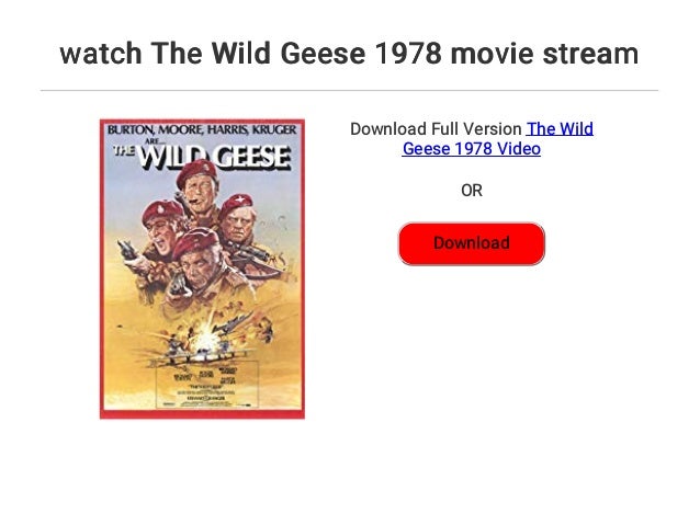 Sword Art Online Ordinal Scale Stream Ger