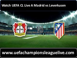 Watch UEFA CL Live A Madrid vs Leverkusen
www.uefachampionsleaguelive.com
 