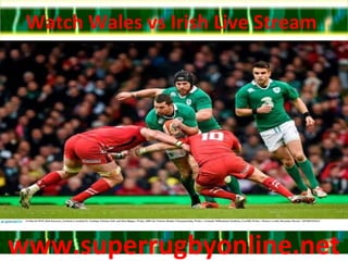 Watch Wales vs Irish Live Stream
www.superrugbyonline.netwww.superrugbyonline.net
 