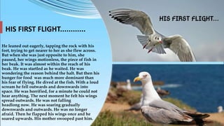 HIS FIRST FLIGHT............
He leaned out eagerly, tapping the rock with his
feet, trying to get nearer to her as she flew across.
But when she was just opposite to him, she
paused, her wings motionless, the piece of fish in
her beak. It was almost within the reach of his
beak. He was startled as he waited. He was
wondering the reason behind the halt. But then his
hunger for food was much more dominant than
his fear of flying. He dived at the fish. With a loud
scream he fell outwards and downwards into
space. He was horrified, for a minute he could not
hear anything. The next moment he felt his wings
spread outwards. He was not falling
headlong now. He was soaring gradually
downwards and outwards. He was no longer
afraid. Then he flapped his wings once and he
soared upwards. His mother swooped past him.
 